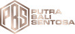 Logo PBS